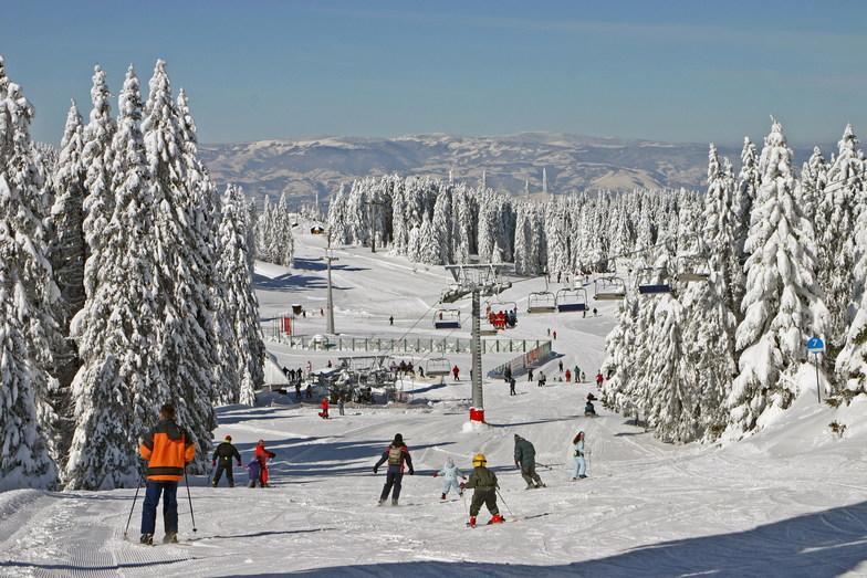 Apartment G6 Kopaonik Eksteriør billede